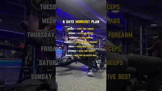 6 days workout split [upl. by Tenom154]