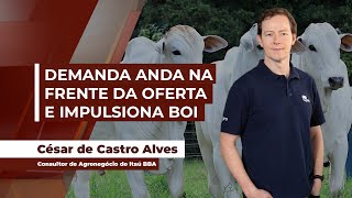 Demanda anda na frente da oferta e tem garantido alta forte do boi  mas atenção margens começam [upl. by Montague177]