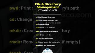 Must Know Linux File amp Directory Management Commands✨✨  Linux Admin  IPCiscocom linux [upl. by Einner]