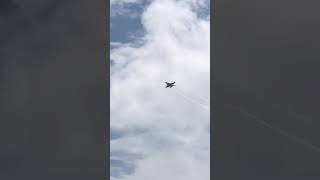 RAAF Base Williamtown Superhornet flyby of Fighterworld australia aviation military shorts [upl. by Christine2]