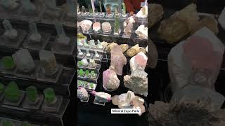 Mineral Expo Paris 2023  Mineralshow  Paris  mineralspecimen  MineralsParadise  Gemstones [upl. by Seavir587]