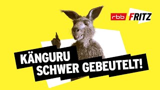 Ein Problem  Neues vom Känguru reloaded  MarcUwe Kling  KänguruChronikenStorys  BONUSFOLGE [upl. by Ki]