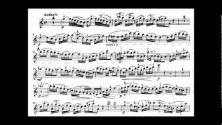 Bach JS violin concerto in A minor BWV 1041 [upl. by Walrath722]