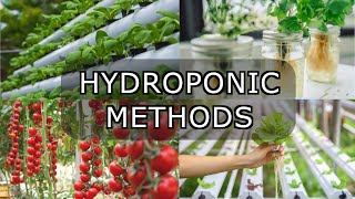 Types of hydroponic cultivation [upl. by Winwaloe742]