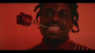 Kodak Black  Catch Fire Official Music Video [upl. by Yrot]