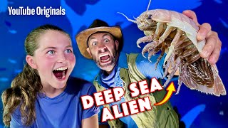 Real Isopod Hours with Coyote Peterson [upl. by Eednyl]