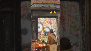 Sandhya arati darshan of lord Jagannathjay Jagannathpurisrikhetrashortstrendingyoutubeshorts [upl. by Lletnohs]