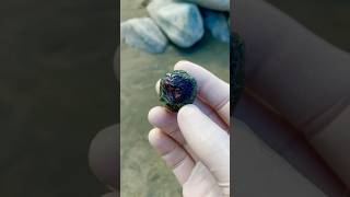 Really amazing stone 5500🤷👍 real crystals agate ytchannel rocks nature fyp viralvideo [upl. by Assyli]