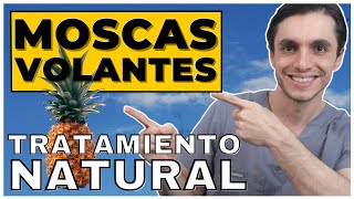 Tratamiento NATURAL contra las MOSCAS VOLANTES o Desprendimiento de Vítreo  Funciona la Piña [upl. by Xantha972]