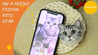 Needle Felting Cats Head Tutorial [upl. by Stevena]