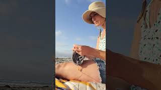 Beautiful Evening at the Beach Knitting Come check out my utube at Beagles and Bobbles [upl. by Artur]