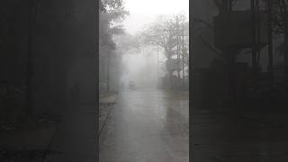 Mahabaleshwar Fogg travel youtubeshorts trekkersofmaharashtra trending foggy shorts [upl. by Siobhan]