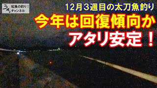 今年は好調！タチウオ回復傾向か！和歌山ＭＣの太刀魚釣り。１２月３週目のタチウオ釣り。 [upl. by Essenaj]