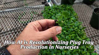 How AI is Revolutionizing Plug Tray Production in Nurseries [upl. by Sabino524]