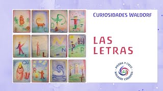 Curiosidades Waldorf Las Letras 📝 📚 [upl. by Hilleary]