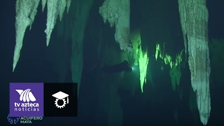 Descubren cráneos de osos prehistóricos en cenotes mayas [upl. by Oca]