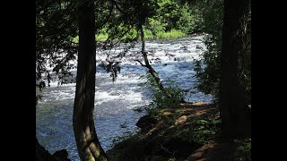 Algonquin Park [upl. by Aleahc312]