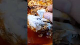 Lahori chargha No fraying Healthy recipechickenrecipe shortsfood subscribe [upl. by Annaya926]