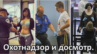 Правила охоты Личный досмотр досмотр транспортного средства [upl. by Yraccaz161]