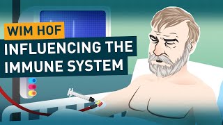 Influencing the Immune System  Wim Hof Method Science [upl. by Pressey]