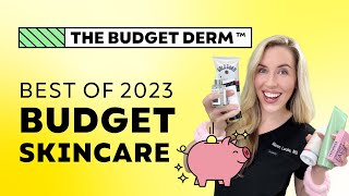 The BEST Budget Skincare of 2023  The Budget Derm [upl. by Hubey]