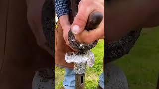 Expert Horseshoe Repair amp Nailing  Ensuring Ultimate Comfort for Horses horse part 1 [upl. by Nemzzaj70]