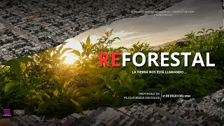 Reforestal y las consecuencias de una Mérida sin arboles [upl. by Areik107]