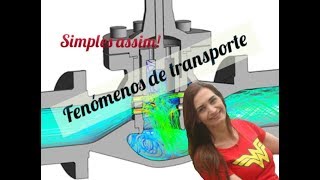 Fenômeno de transporte Viscosidade  Brunetti [upl. by Emilio840]