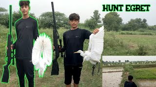 Air gun bird hunting egret huntingair rifle hunting 177 parindon ka shikarMZ Birds Hunting [upl. by On]