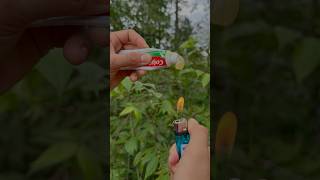 Survival Skills single mom show SMART idea and USEFUL in forest outdoor bushcraft camping [upl. by Akins]