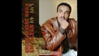 Shewandagne Hailu  Sik Alegn Full Album [upl. by Ignaz122]