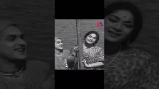 ANR And Mahanati Savitri Superb Scene  Telugu Movie Scenes  GangothriMovies [upl. by Fusco]