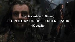 4K Thorin Oakenshield scene pack  The Hobbit The Desolation of Smaug [upl. by Estrellita]