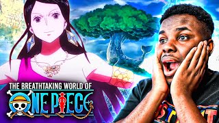 The Breathtaking World of One Piece REACTION [upl. by Nirel350]