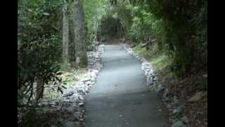 Brasstown Bald [upl. by Shaeffer]