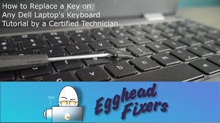 How to Replace a Key on Your Dell Laptops Keyboard  Tutorial by a Dell Certified Technician [upl. by Atik]