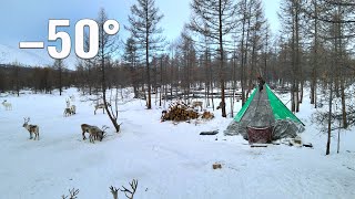 Life of Mongolia Nomads near the borders of Russia Tsaatan life in Mongolia in winter [upl. by Ayerf]