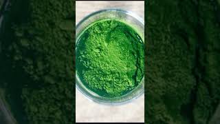 Wheatgrass Health Benefits That You SHOULDNT IGNOREwheatgrass health wheatgrassbenefits [upl. by Millhon]