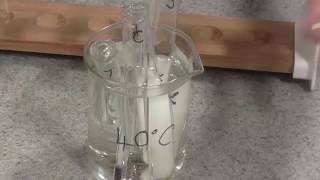 Enzyme Rate of Reaction Trypsin [upl. by Ttekcirc]