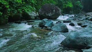 12 Hours of Peaceful River Flow  Soothing Background for Deep Sleep Meditation amp Relaxation [upl. by Ayaladnot]