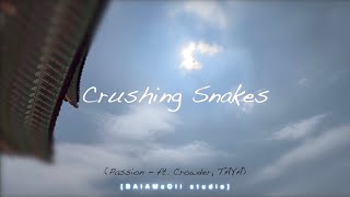 Crushing Snakes  Passion ft Crowder TAYA ART Music amp Video [upl. by Alocin]