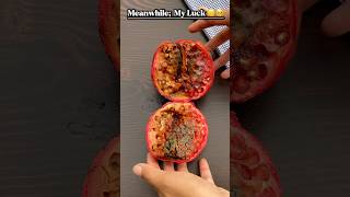 how to cut pomegranate Shorts pomegranate trending food howtocutpomegranate foodart viral yt [upl. by Vicky]