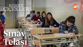 Üniversite sınavı  Kırgın Çiçekler 76 Bölüm [upl. by Welles773]