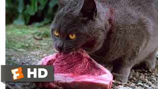 Pet Sematary 1989  Killing Church Scene 810  Movieclips [upl. by Llenhoj]