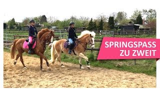 ON TOUR bei Majas Vlogs ⭐️ Mega Spaß ⭐️ beim Springen 🐎 [upl. by Caves]