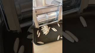 Making Pasta Cavatelli shorts [upl. by Japeth225]