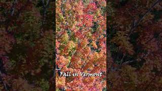 Fall in Vermont vermont [upl. by Agace]