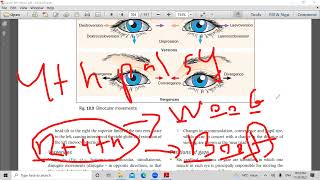 second lecture in strabismus [upl. by Caldeira]