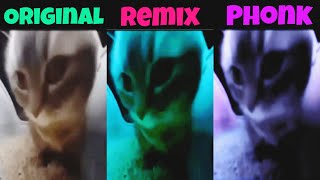 Chipi Chipi Chapa Chapa Original vs Phonk vs Remix All Version [upl. by Elleuqar841]