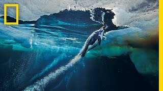 Emperor Penguins Speed Launch Out of the Water  National Geographic [upl. by Arley816]